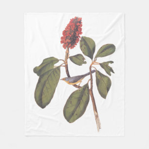 Audubon Bonaparte Flycatcher Bird Fleece Blanket
