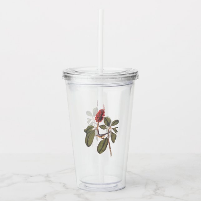 Audubon Bonaparte Flycatcher Songbird and Magnolia Acrylic Tumbler (Front)