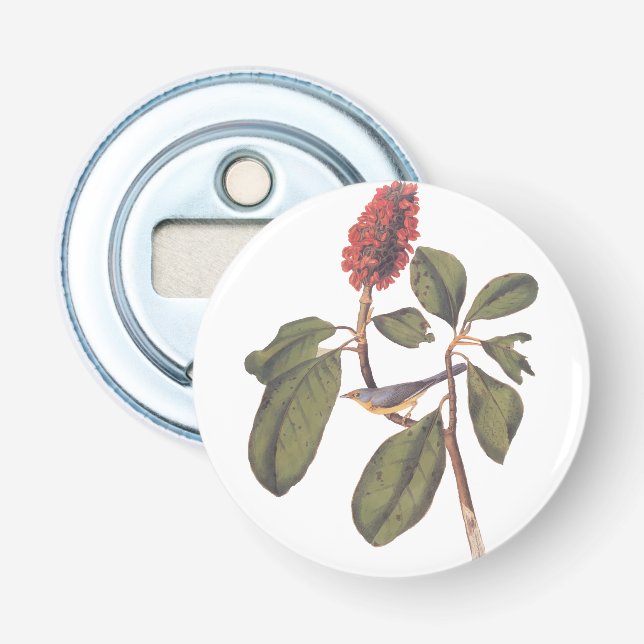 Audubon Bonaparte Flycatcher Songbird and Magnolia Bottle Opener (Front)