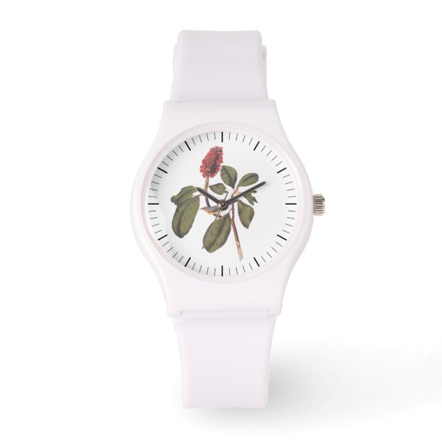 Audubon Bonaparte Flycatcher Songbird and Magnolia Watch (Front)