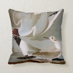 Audubon: Bonaparte's Gull Cushion