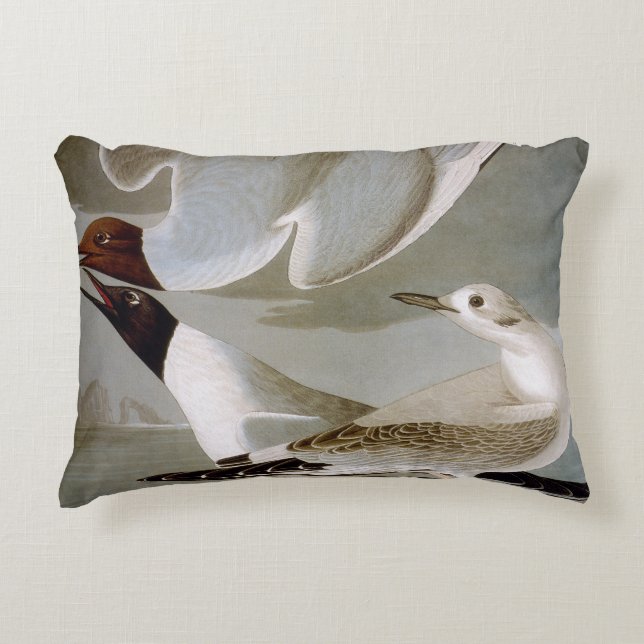 Audubon: Bonaparte's Gull Decorative Cushion (Front)