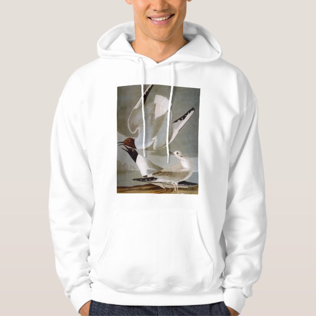 Audubon: Bonaparte's Gull Hoodie (Front)