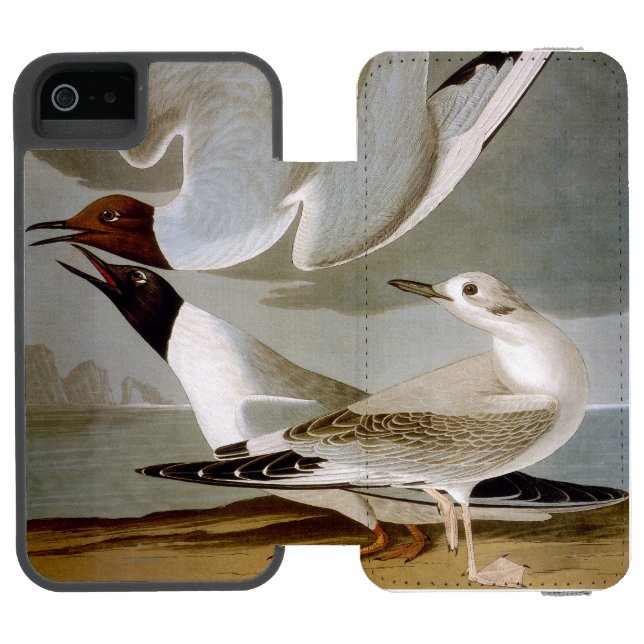 Audubon: Bonaparte's Gull Incipio iPhone Wallet Case (Folio Open)