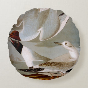 Audubon: Bonaparte's Gull Round Cushion