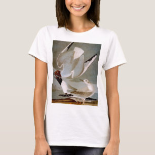 Audubon: Bonaparte's Gull T-Shirt