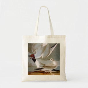 Audubon: Bonaparte's Gull Tote Bag