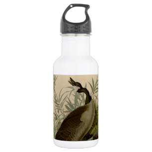 Audubon Canada Goose Wildlife Bird 532 Ml Water Bottle