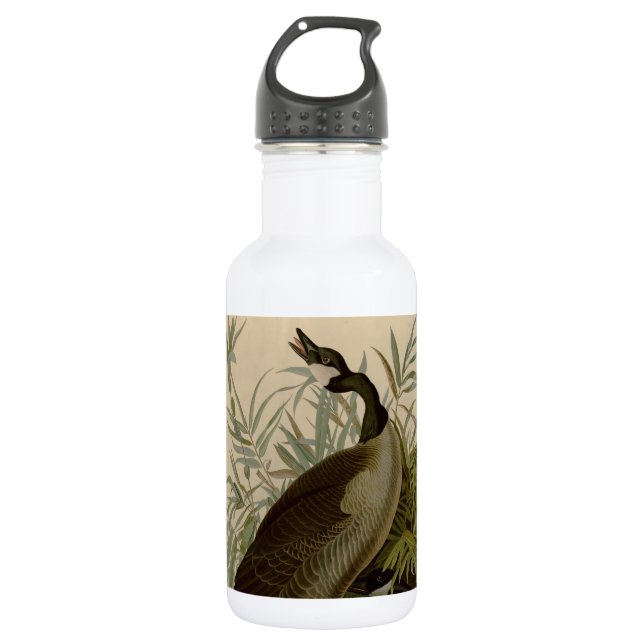 Audubon Canada Goose Wildlife Bird 532 Ml Water Bottle (Front)