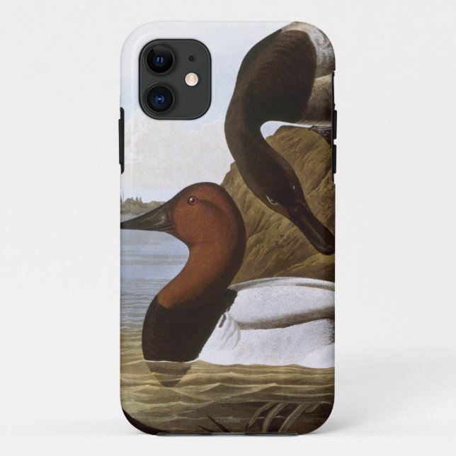 Audubon: Canvasback Case-Mate iPhone Case (Back)