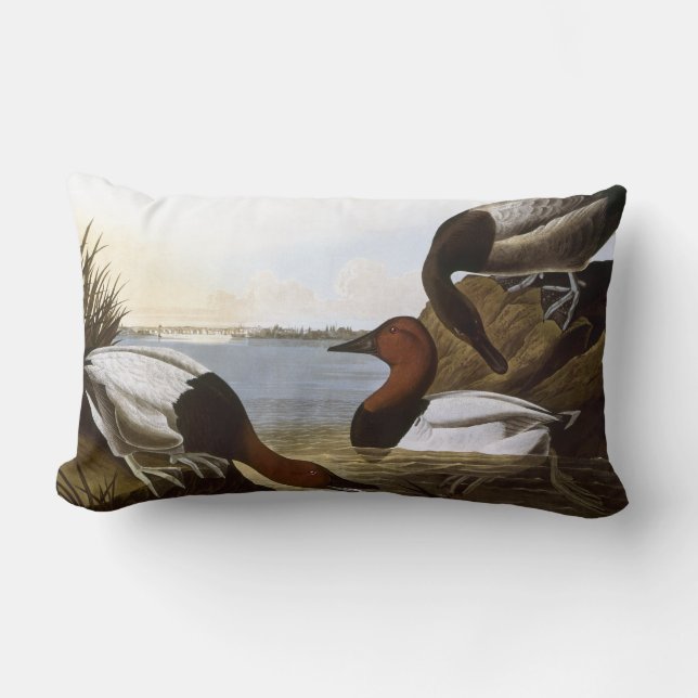 Audubon: Canvasback Lumbar Cushion (Front)