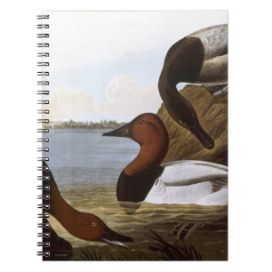 Audubon: Canvasback Notebook