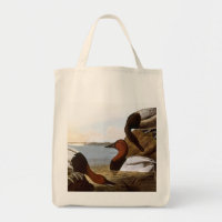Audubon: Canvasback
