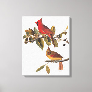 Audubon Cardinal Pair in Wild Almond Tree Canvas Print