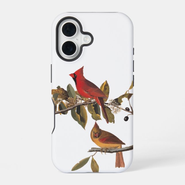 Audubon Cardinal Pair in Wild Almond Tree iPhone 16 Case (Back)