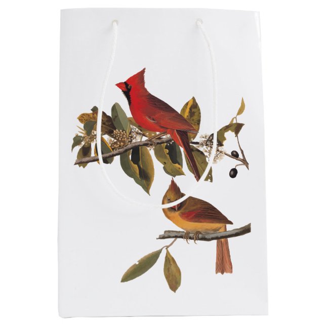 Audubon Cardinal Pair in Wild Almond Tree Medium Gift Bag (Front)