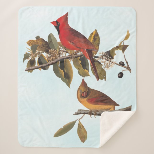 Audubon Cardinal Pair in Wild Almond Tree Sherpa Blanket (Front)