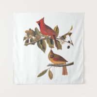 Audubon Cardinal Pair in Wild Almond Tree