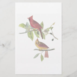 Audubon Cardinal Stationery