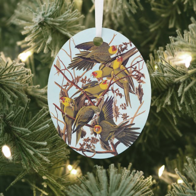 Audubon Carolina Parakeet Flock Metal Tree Decoration (Insitu)