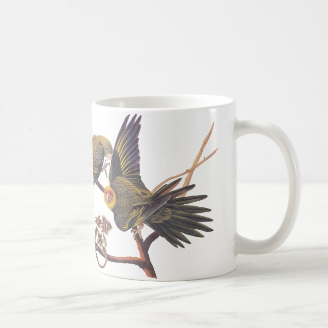 Audubon Carolina Parakeet Mug (Right)