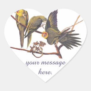 Audubon Carolina Parakeet Trio Heart Sticker