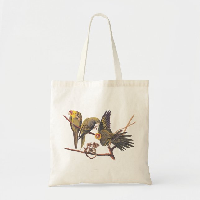 Audubon Carolina Parakeet Trio T-Shirt Tote Bag (Front)