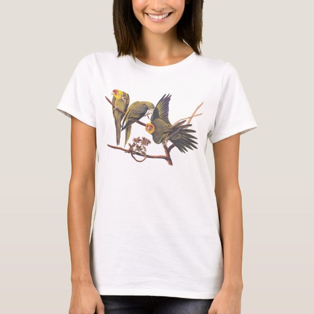 Audubon Carolina Parakeet Trio Women's T-shirt (Front)