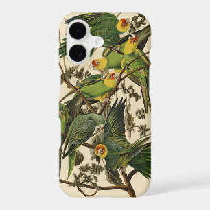 Audubon Carolina Parrot Bird illustration