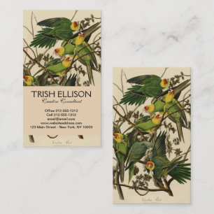 Audubon Carolina Parrot Bird illustration Business Card