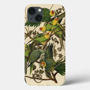 Audubon Carolina Parrot Bird illustration iPhone 13 Case