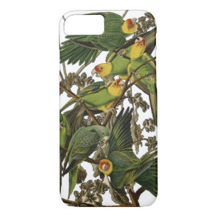 Audubon Carolina Parrot Bird illustration iPhone 8/7 Case