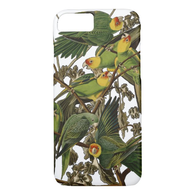 Audubon Carolina Parrot Bird illustration Case-Mate iPhone Case (Back)
