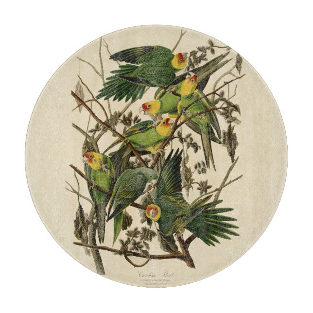 Audubon Carolina Parrot Bird illustration Cutting Board (Front)
