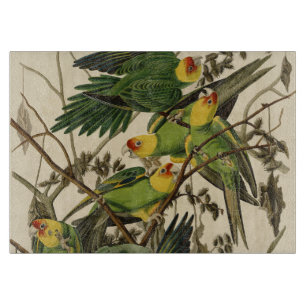 Audubon Carolina Parrot Bird illustration Cutting Board