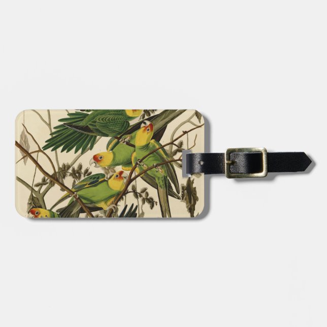 Audubon Carolina Parrot Bird illustration Luggage Tag (Front Horizontal)
