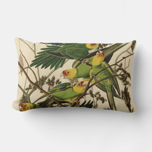 Audubon Carolina Parrot Bird illustration Lumbar Cushion (Front)