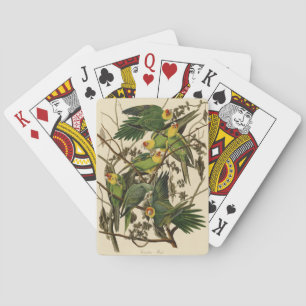 Audubon Carolina Parrot Bird illustration Playing Cards