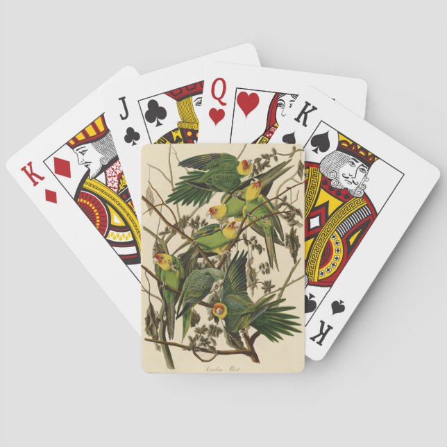 Audubon Carolina Parrot Bird illustration Playing Cards (Back)