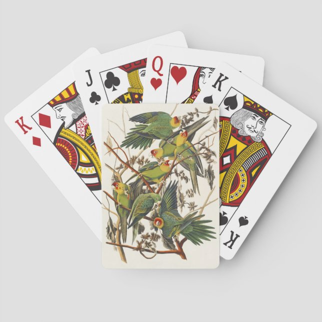 Audubon Carolina Parrot Bird illustration Playing Cards (Back)