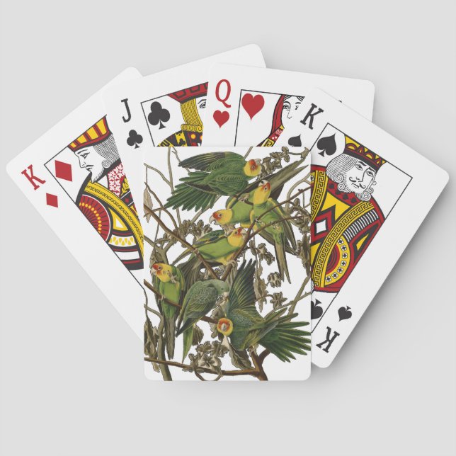 Audubon Carolina Parrot Bird illustration Playing Cards (Back)