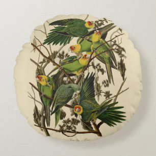 Audubon Carolina Parrot Bird illustration Round Cushion