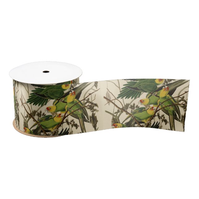 Audubon Carolina Parrot Bird illustration Satin Ribbon (Spool)