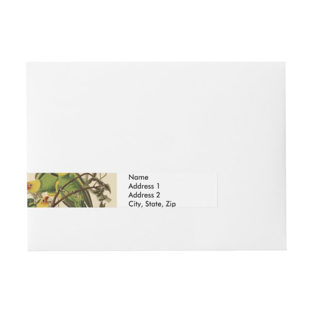 Audubon Carolina Parrot Bird illustration Wraparound Address Label (Front)