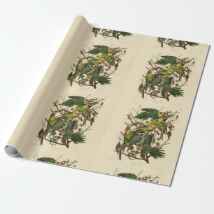 Audubon Carolina Parrot Bird illustration Wrapping Paper