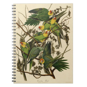 Audubon Carolina Parrot Print Birds of America Notebook