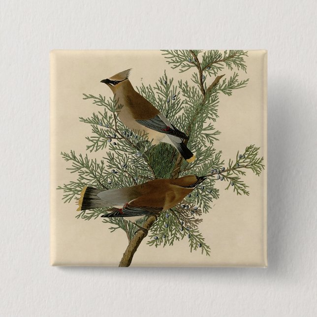 Audubon Cedar Waxwing 15 Cm Square Badge (Front)