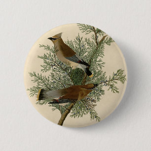 Audubon Cedar Waxwing 6 Cm Round Badge