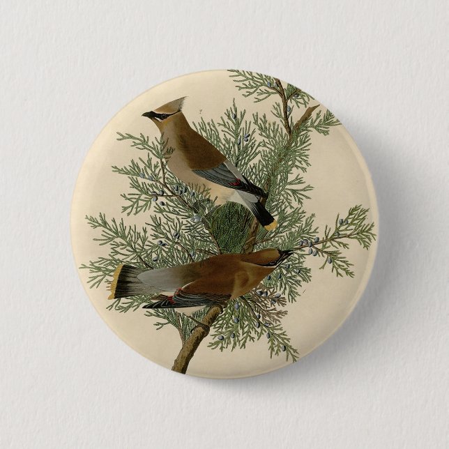 Audubon Cedar Waxwing 6 Cm Round Badge (Front)