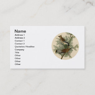 Audubon Cedar Waxwing Bird Business Card